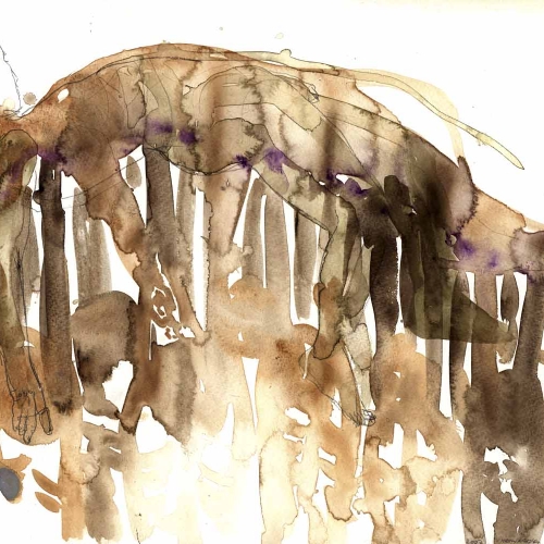 caren van herwaarden popup2007aquaptlood2007filtercopycopy